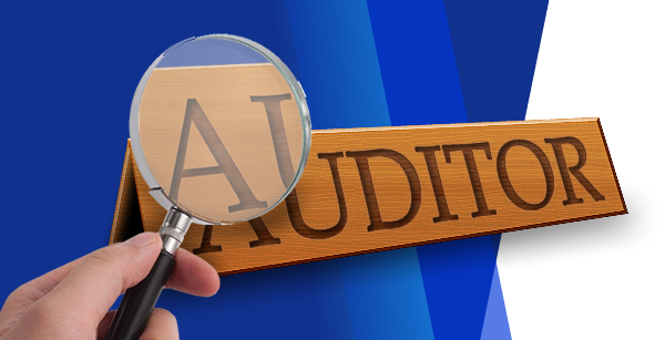 Enfoque en los auditores